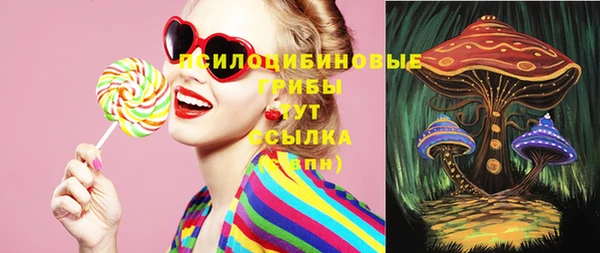 мяу мяу мука Новодвинск